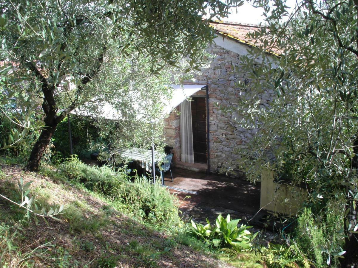 Vila Il Fienile Ripafratta Exteriér fotografie